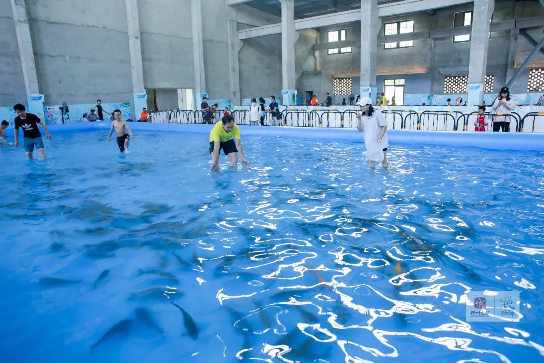 微信圖片_20211213112402.jpg 微信圖片_20211213112402.jpg